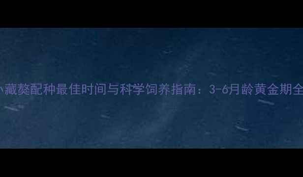 图片 小藏獒配种最佳时间与科学饲养指南：3-6月龄黄金期全1