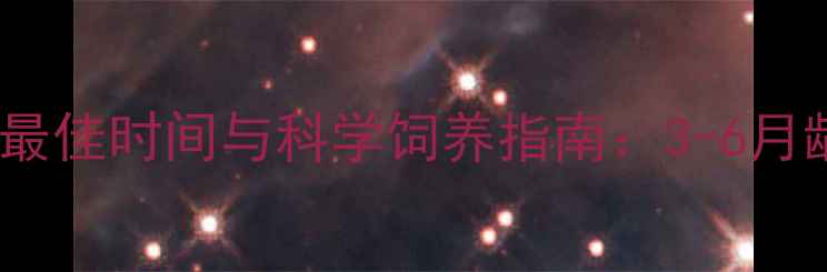 图片 小藏獒配种最佳时间与科学饲养指南：3-6月龄黄金期全2