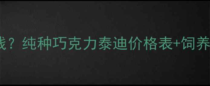 图片 巧克力色泰迪纯种多少钱？纯种巧克力泰迪价格表+饲养全攻略（附品种特性）1