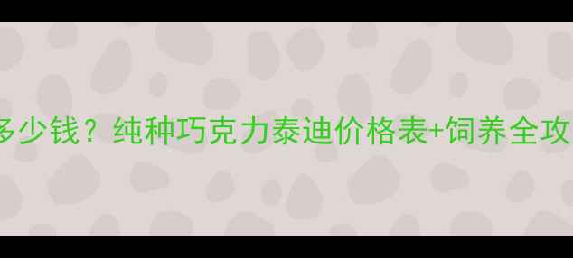图片 巧克力色泰迪纯种多少钱？纯种巧克力泰迪价格表+饲养全攻略（附品种特性）2