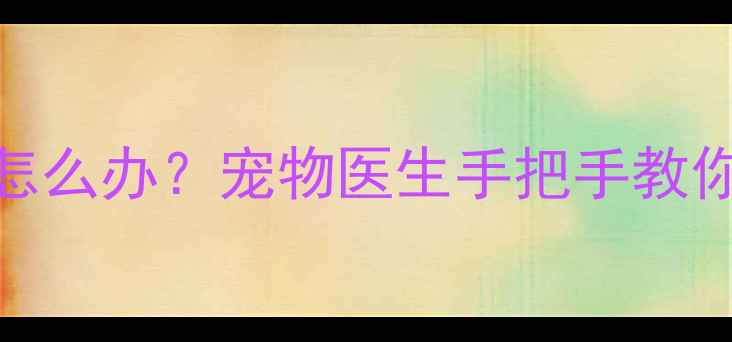 图片 幼崽哈士奇体温低怎么办？宠物医生手把手教你5步急救法🐾❄️2