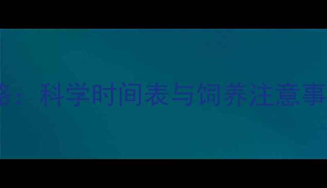 图片 幼年小龙猫分笼全攻略：科学时间表与饲养注意事项（附分笼流程图）2