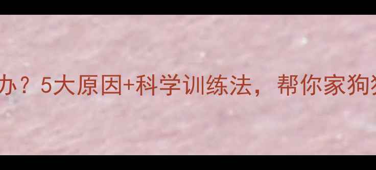图片 幼犬不叫怎么办？5大原因+科学训练法，帮你家狗狗学会喊人！1