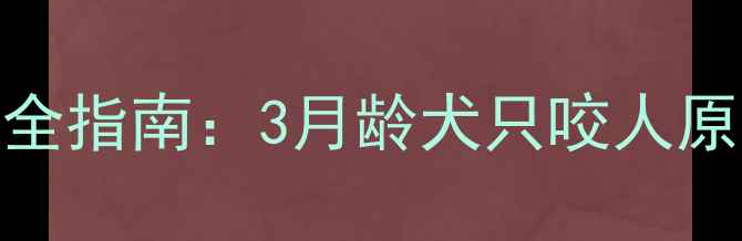 图片 幼犬咬伤应急处理全指南：3月龄犬只咬人原因及家庭防护措施