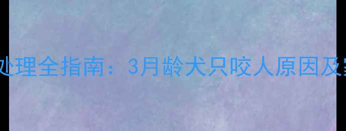 图片 幼犬咬伤应急处理全指南：3月龄犬只咬人原因及家庭防护措施1