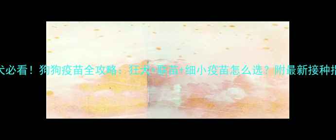 图片 幼犬必看！狗狗疫苗全攻略：狂犬+联苗+细小疫苗怎么选？附最新接种指南