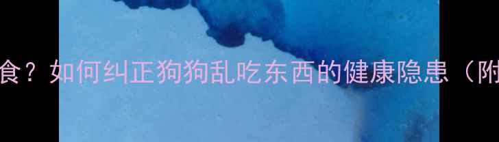 图片 幼犬挑食挑到停食？如何纠正狗狗乱吃东西的健康隐患（附科学喂养指南）