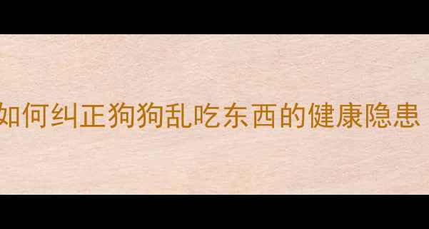 图片 幼犬挑食挑到停食？如何纠正狗狗乱吃东西的健康隐患（附科学喂养指南）1
