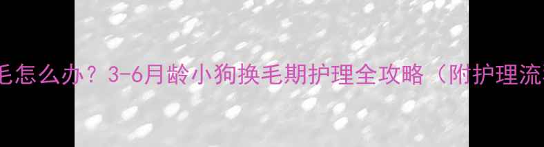 图片 幼犬掉毛怎么办？3-6月龄小狗换毛期护理全攻略（附护理流程图）2