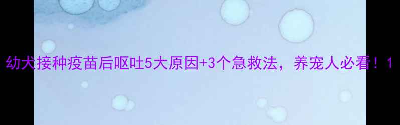 图片 幼犬接种疫苗后呕吐5大原因+3个急救法，养宠人必看！1