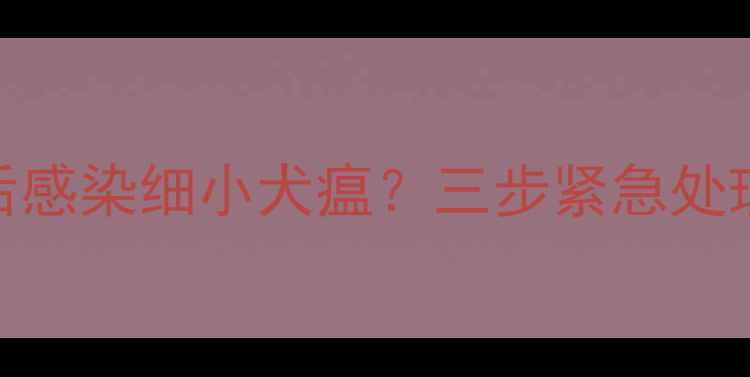 图片 幼犬接种疫苗后感染细小犬瘟？三步紧急处理法+预防指南2