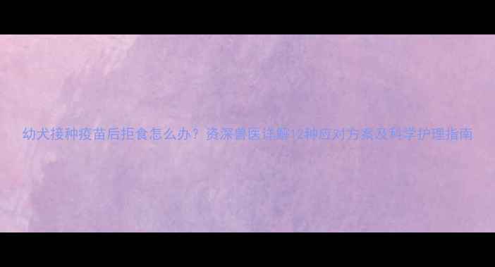 图片 幼犬接种疫苗后拒食怎么办？资深兽医详解12种应对方案及科学护理指南