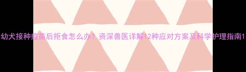 图片 幼犬接种疫苗后拒食怎么办？资深兽医详解12种应对方案及科学护理指南1