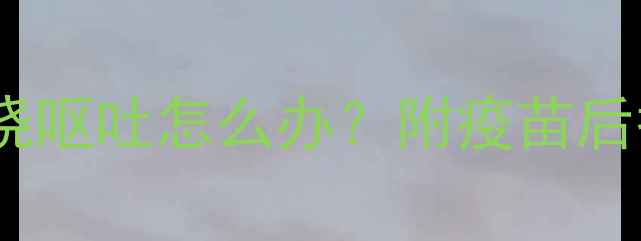 图片 幼犬疫苗后发烧呕吐怎么办？附疫苗后护理全攻略🐾1