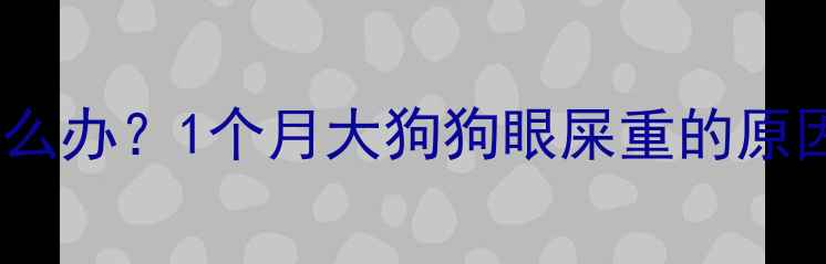 图片 幼犬眼屎多怎么办？1个月大狗狗眼屎重的原因及护理指南1