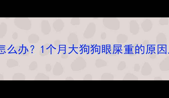 图片 幼犬眼屎多怎么办？1个月大狗狗眼屎重的原因及护理指南2