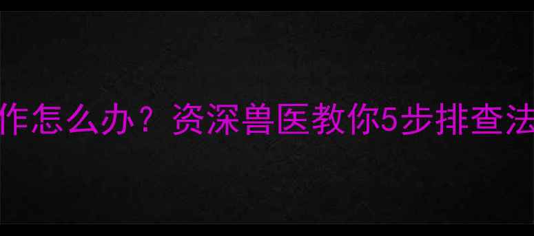 图片 幼犬腹泻反复发作怎么办？资深兽医教你5步排查法及家庭护理指南