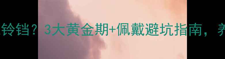 图片 幼猫多大能戴铃铛？3大黄金期+佩戴避坑指南，养猫人必看！2