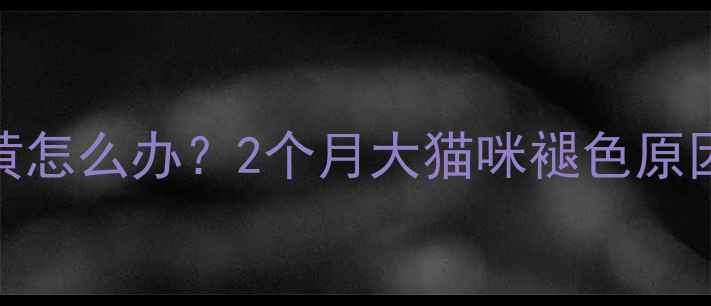图片 幼猫毛发变黄怎么办？2个月大猫咪褪色原因及应对指南