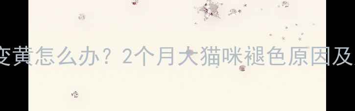 图片 幼猫毛发变黄怎么办？2个月大猫咪褪色原因及应对指南1