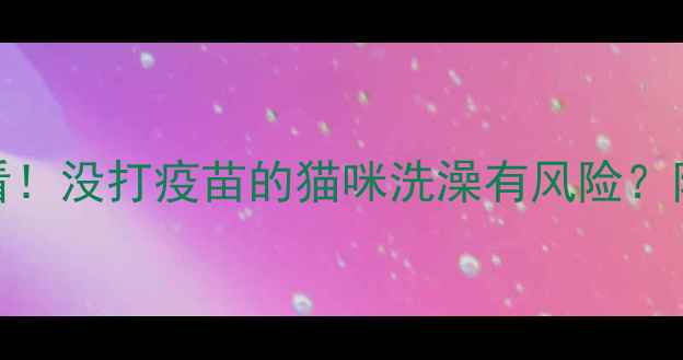 图片 幼猫洗澡前必看！没打疫苗的猫咪洗澡有风险？附正确护理指南
