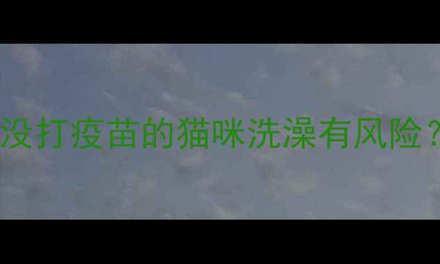 图片 幼猫洗澡前必看！没打疫苗的猫咪洗澡有风险？附正确护理指南2