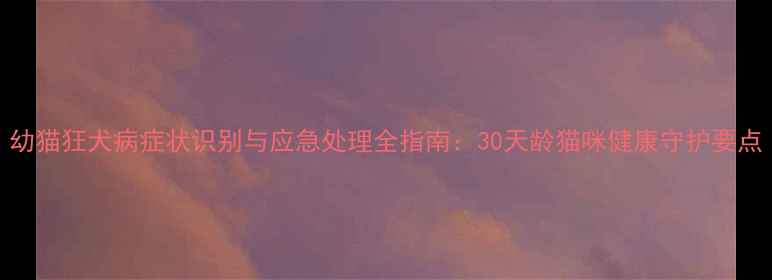 图片 幼猫狂犬病症状识别与应急处理全指南：30天龄猫咪健康守护要点