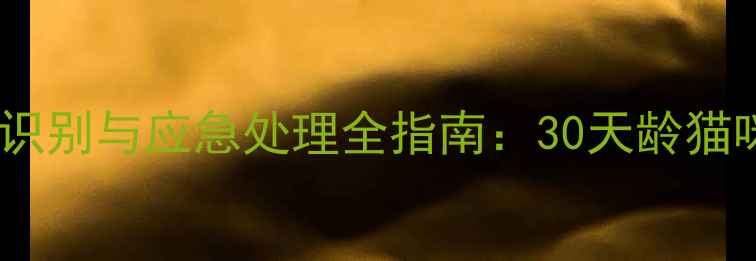 图片 幼猫狂犬病症状识别与应急处理全指南：30天龄猫咪健康守护要点2