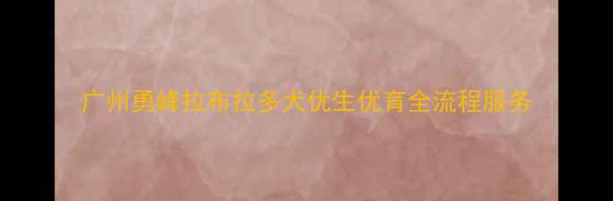 图片 广州勇峰拉布拉多犬优生优育全流程服务