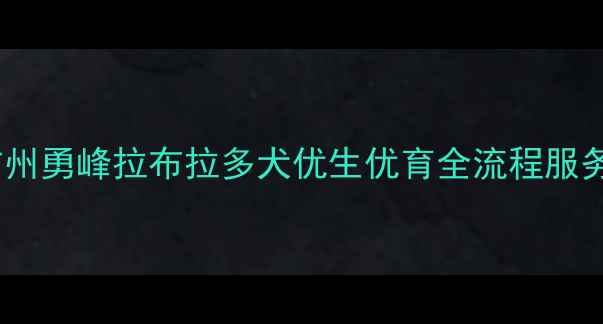 图片 广州勇峰拉布拉多犬优生优育全流程服务1
