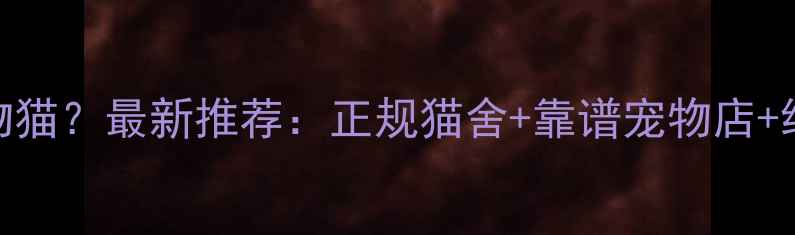 图片 广州哪里买宠物猫？最新推荐：正规猫舍+靠谱宠物店+线上平台全攻略