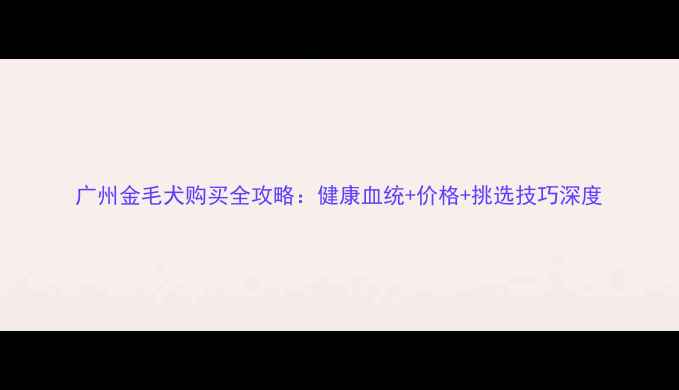 图片 广州金毛犬购买全攻略：健康血统+价格+挑选技巧深度