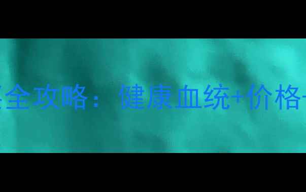 图片 广州金毛犬购买全攻略：健康血统+价格+挑选技巧深度1