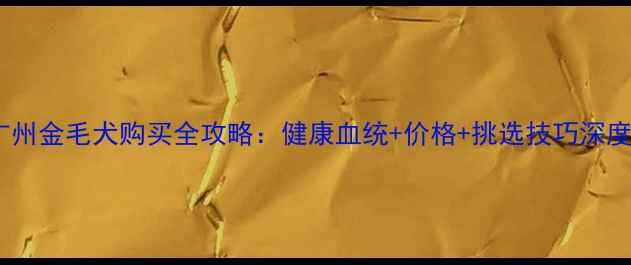 图片 广州金毛犬购买全攻略：健康血统+价格+挑选技巧深度2