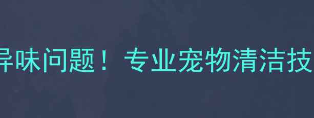 图片 彻底解决拉布拉多异味问题！专业宠物清洁技巧与日常护理指南2