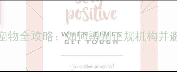 图片 微信领养宠物全攻略：如何辨别正规机构并避免被骗？