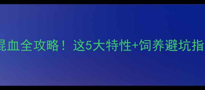 图片 德国牧羊犬×哈士奇混血全攻略！这5大特性+饲养避坑指南（附品种对比图）2