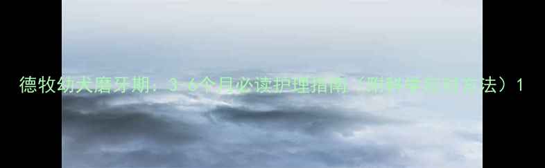 图片 德牧幼犬磨牙期：3-6个月必读护理指南（附科学应对方法）1