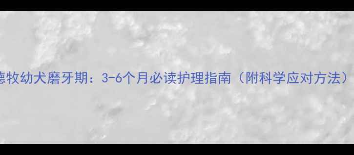 图片 德牧幼犬磨牙期：3-6个月必读护理指南（附科学应对方法）2