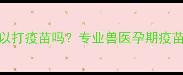 图片 怀孕母狗可以打疫苗吗？专业兽医孕期疫苗接种全指南