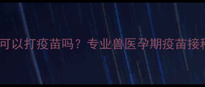 图片 怀孕母狗可以打疫苗吗？专业兽医孕期疫苗接种全指南1