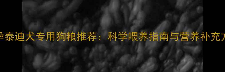图片 怀孕泰迪犬专用狗粮推荐：科学喂养指南与营养补充方案