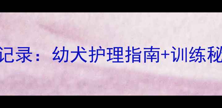 图片 惠比特五个月大成长全记录：幼犬护理指南+训练秘籍（附20张珍贵照片）