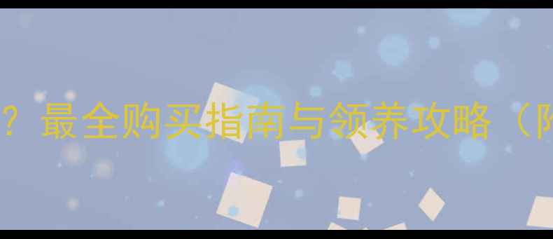 图片 成年宠物狗哪里买？最全购买指南与领养攻略（附健康检查清单）1