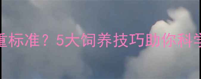 图片 成年拉布拉多重标准？5大饲养技巧助你科学管理爱犬体重