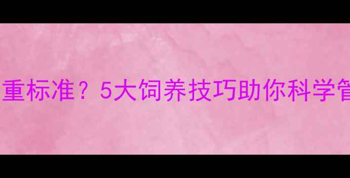 图片 成年拉布拉多重标准？5大饲养技巧助你科学管理爱犬体重1
