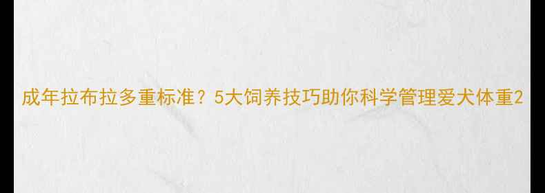 图片 成年拉布拉多重标准？5大饲养技巧助你科学管理爱犬体重2
