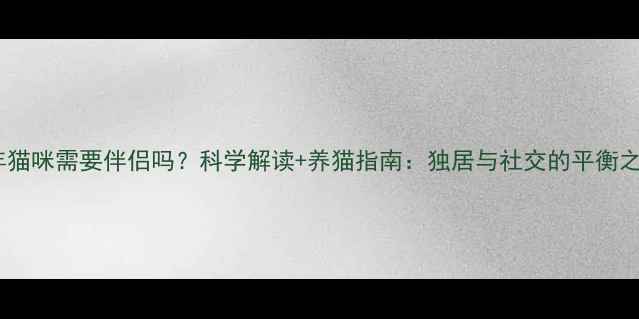 图片 成年猫咪需要伴侣吗？科学解读+养猫指南：独居与社交的平衡之道1