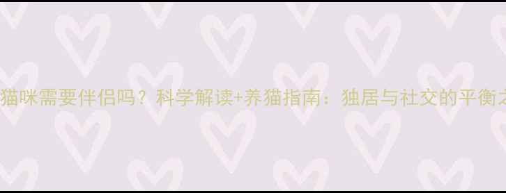 图片 成年猫咪需要伴侣吗？科学解读+养猫指南：独居与社交的平衡之道2