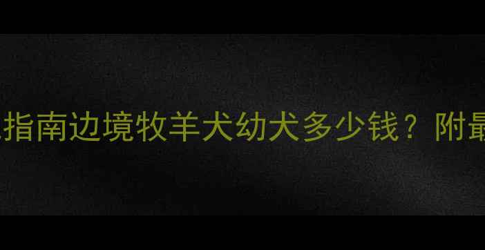 图片 成都边牧价格避坑指南边境牧羊犬幼犬多少钱？附最新行情+选购攻略